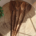 Ustensiles de cuisine magique